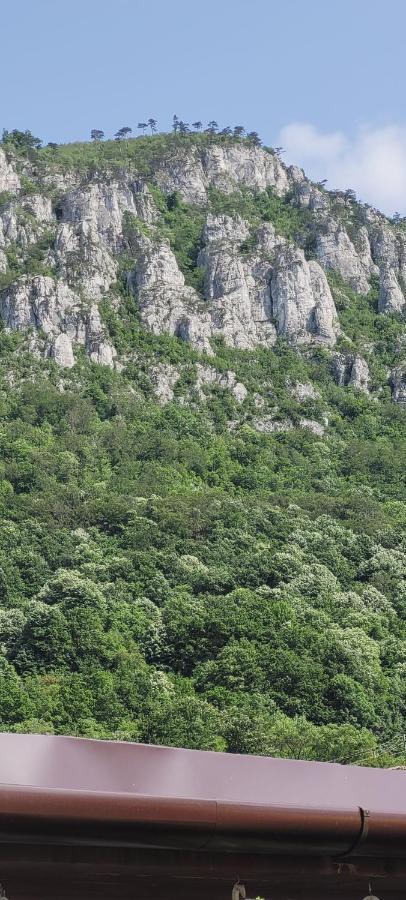 Apartament 2 camere-Andi 2 Baile Herculane Bagian luar foto